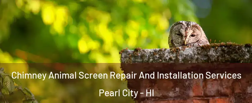  Chimney Animal Screen Repair And Installation Services Pearl City - HI