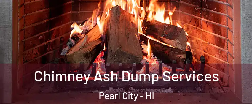  Chimney Ash Dump Services Pearl City - HI