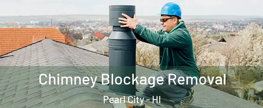  Chimney Blockage Removal Pearl City - HI