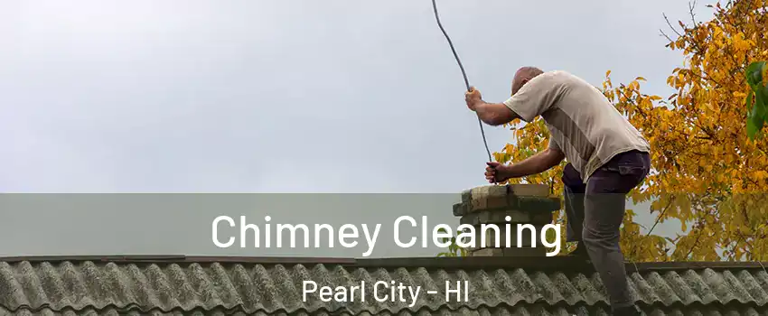  Chimney Cleaning Pearl City - HI