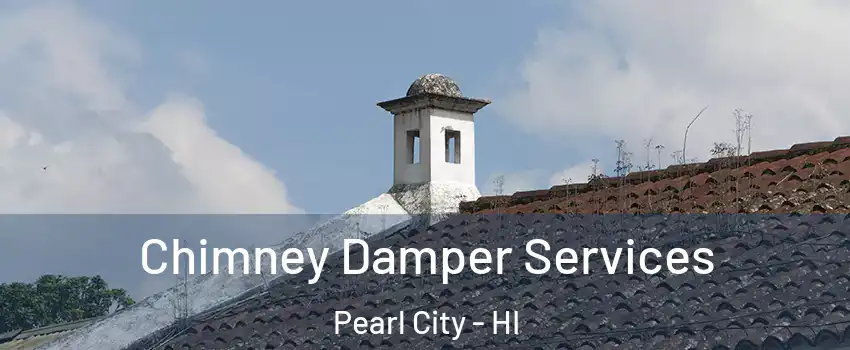  Chimney Damper Services Pearl City - HI