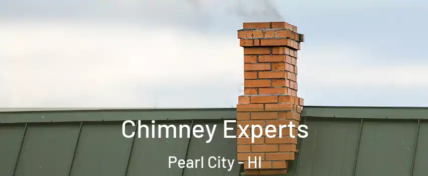 Chimney Experts Pearl City - HI