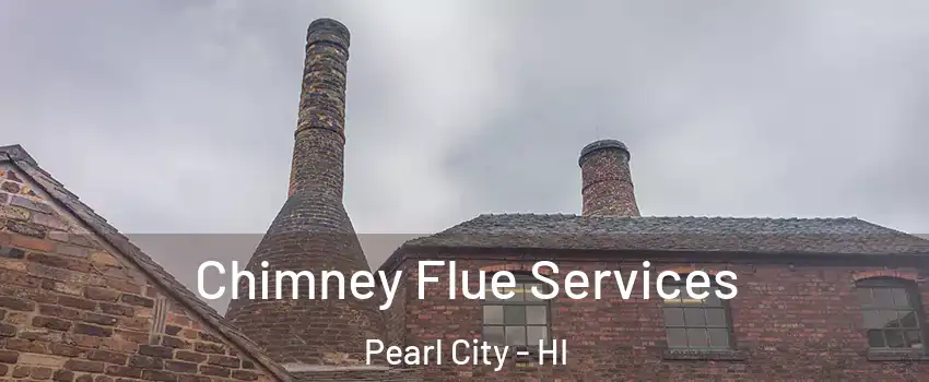  Chimney Flue Services Pearl City - HI