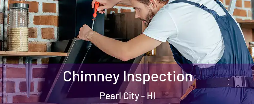  Chimney Inspection Pearl City - HI