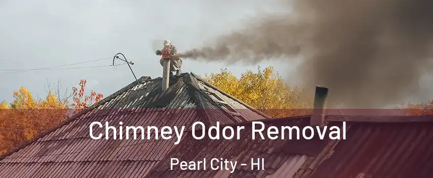  Chimney Odor Removal Pearl City - HI
