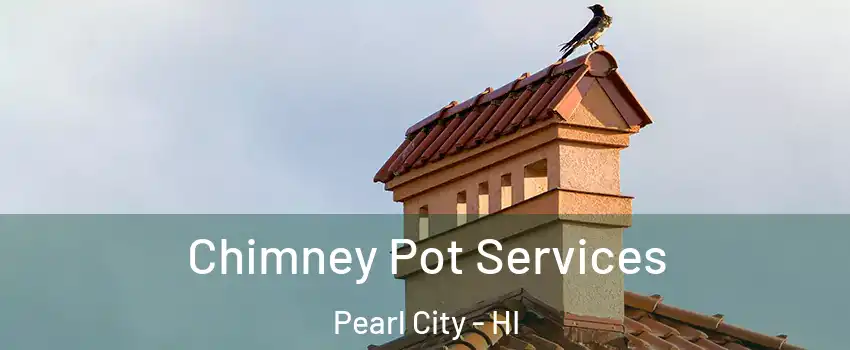  Chimney Pot Services Pearl City - HI