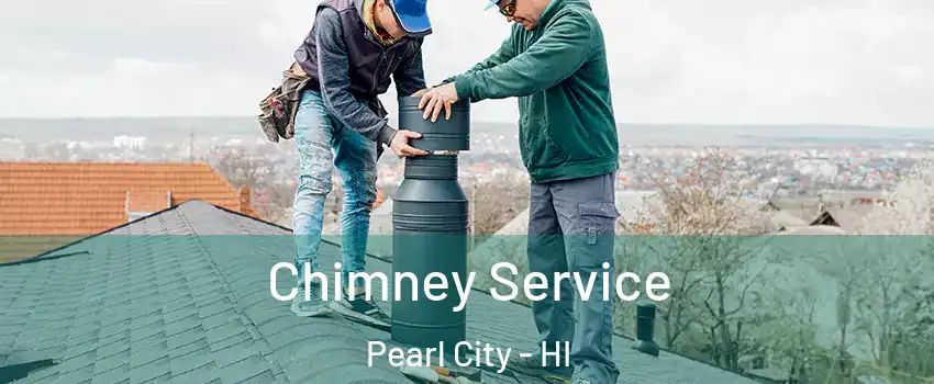 Chimney Service Pearl City - HI