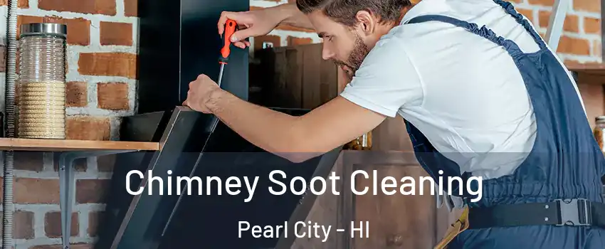  Chimney Soot Cleaning Pearl City - HI