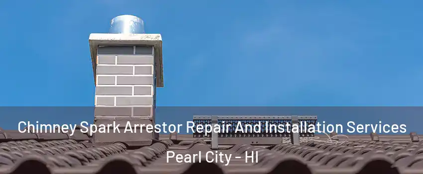  Chimney Spark Arrestor Repair And Installation Services Pearl City - HI