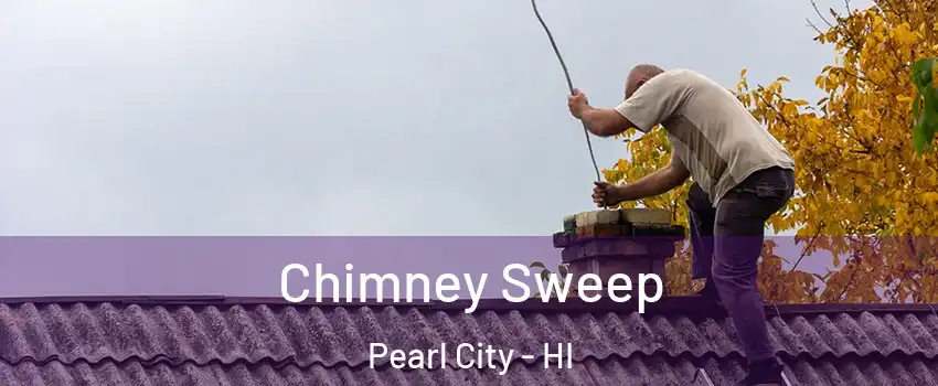  Chimney Sweep Pearl City - HI