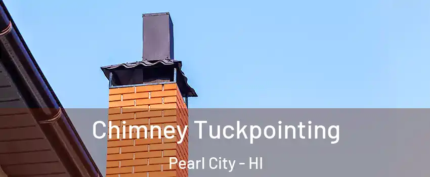  Chimney Tuckpointing Pearl City - HI