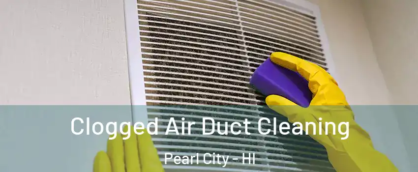  Clogged Air Duct Cleaning Pearl City - HI