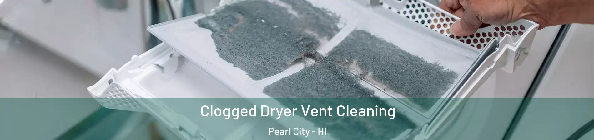  Clogged Dryer Vent Cleaning Pearl City - HI