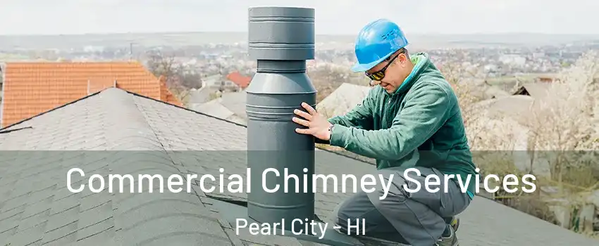  Commercial Chimney Services Pearl City - HI