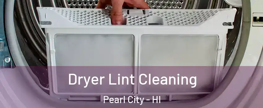  Dryer Lint Cleaning Pearl City - HI