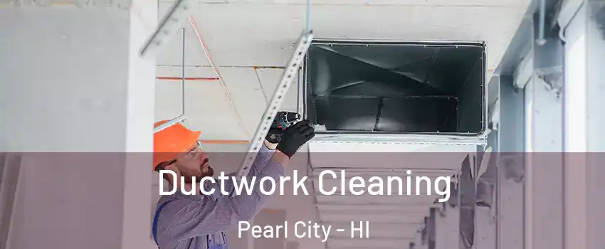  Ductwork Cleaning Pearl City - HI