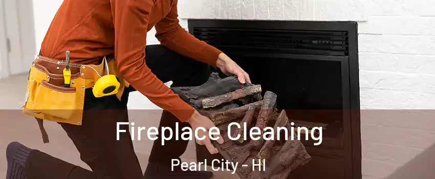  Fireplace Cleaning Pearl City - HI