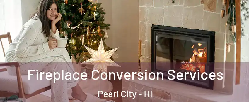  Fireplace Conversion Services Pearl City - HI