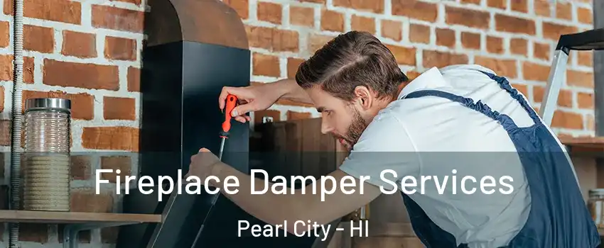  Fireplace Damper Services Pearl City - HI