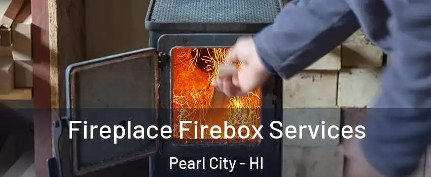  Fireplace Firebox Services Pearl City - HI