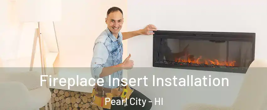  Fireplace Insert Installation Pearl City - HI