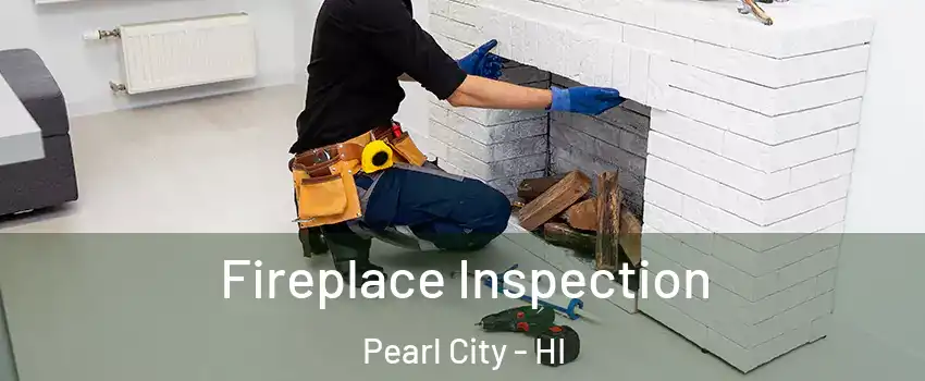  Fireplace Inspection Pearl City - HI