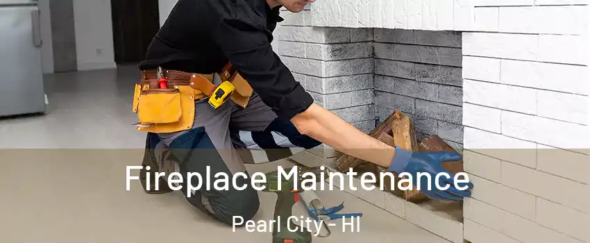  Fireplace Maintenance Pearl City - HI