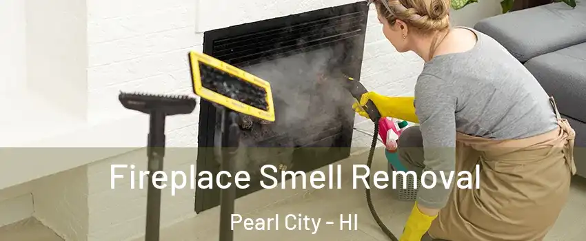  Fireplace Smell Removal Pearl City - HI