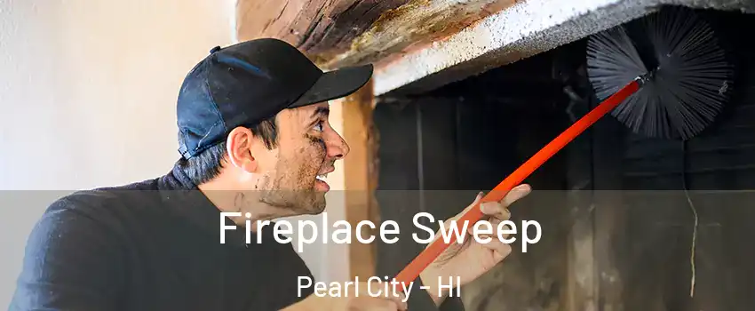  Fireplace Sweep Pearl City - HI