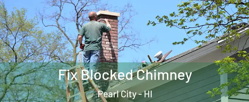  Fix Blocked Chimney Pearl City - HI