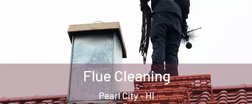  Flue Cleaning Pearl City - HI