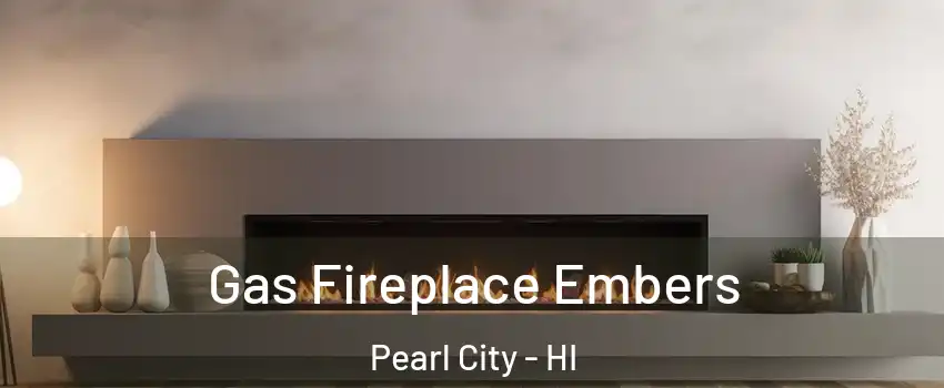  Gas Fireplace Embers Pearl City - HI