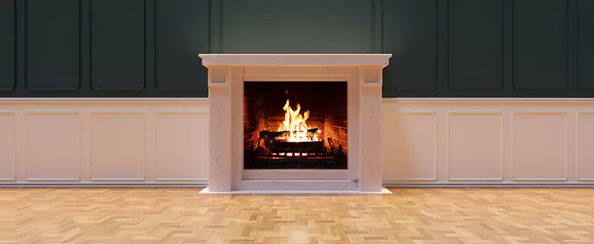 Napoleon Electric Fireplaces Inspection Service in Pearl City, Hawaii