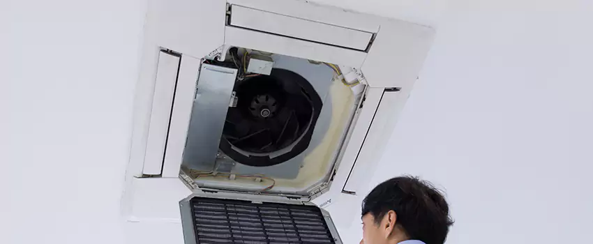 Benefits of Professional Air Duct Cleaning in Pearl City, Hawaii