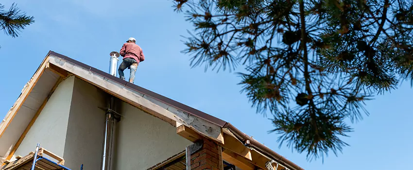 Birds Removal Contractors from Chimney in Pearl City, HI