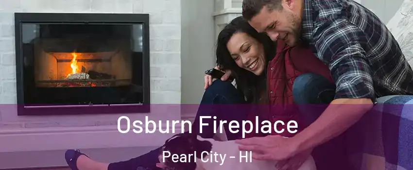  Osburn Fireplace Pearl City - HI
