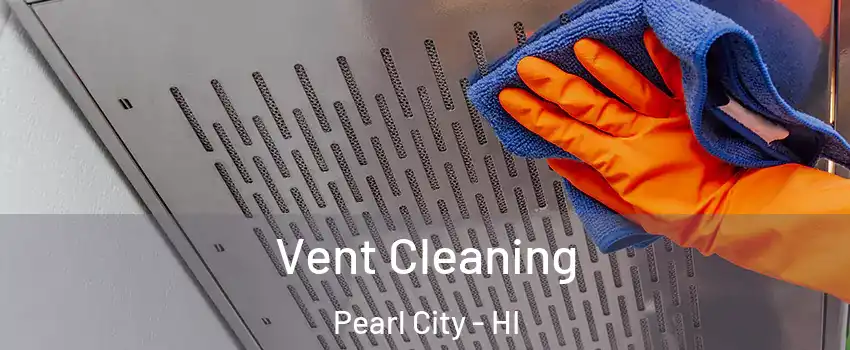  Vent Cleaning Pearl City - HI