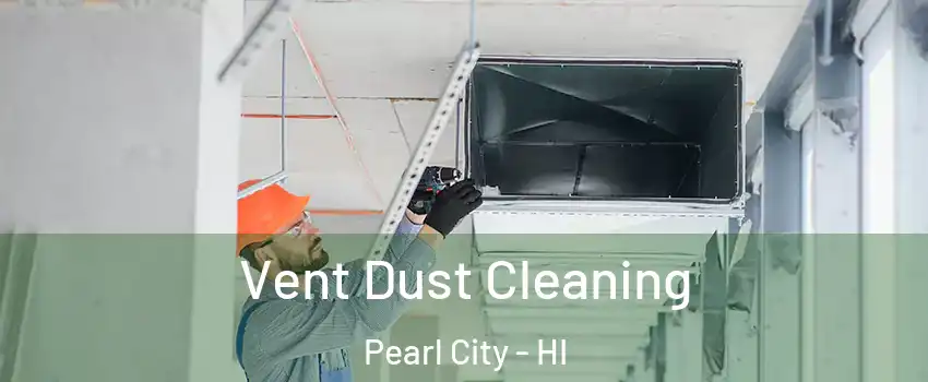  Vent Dust Cleaning Pearl City - HI
