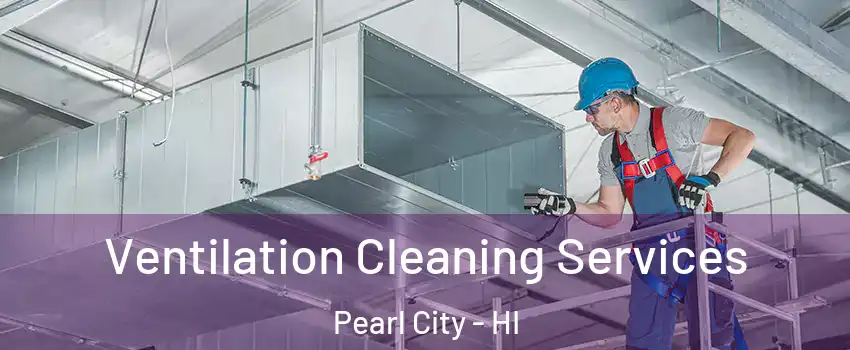  Ventilation Cleaning Services Pearl City - HI