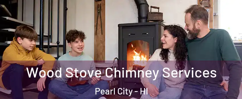  Wood Stove Chimney Services Pearl City - HI