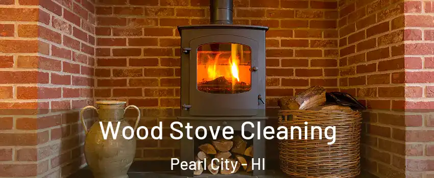  Wood Stove Cleaning Pearl City - HI